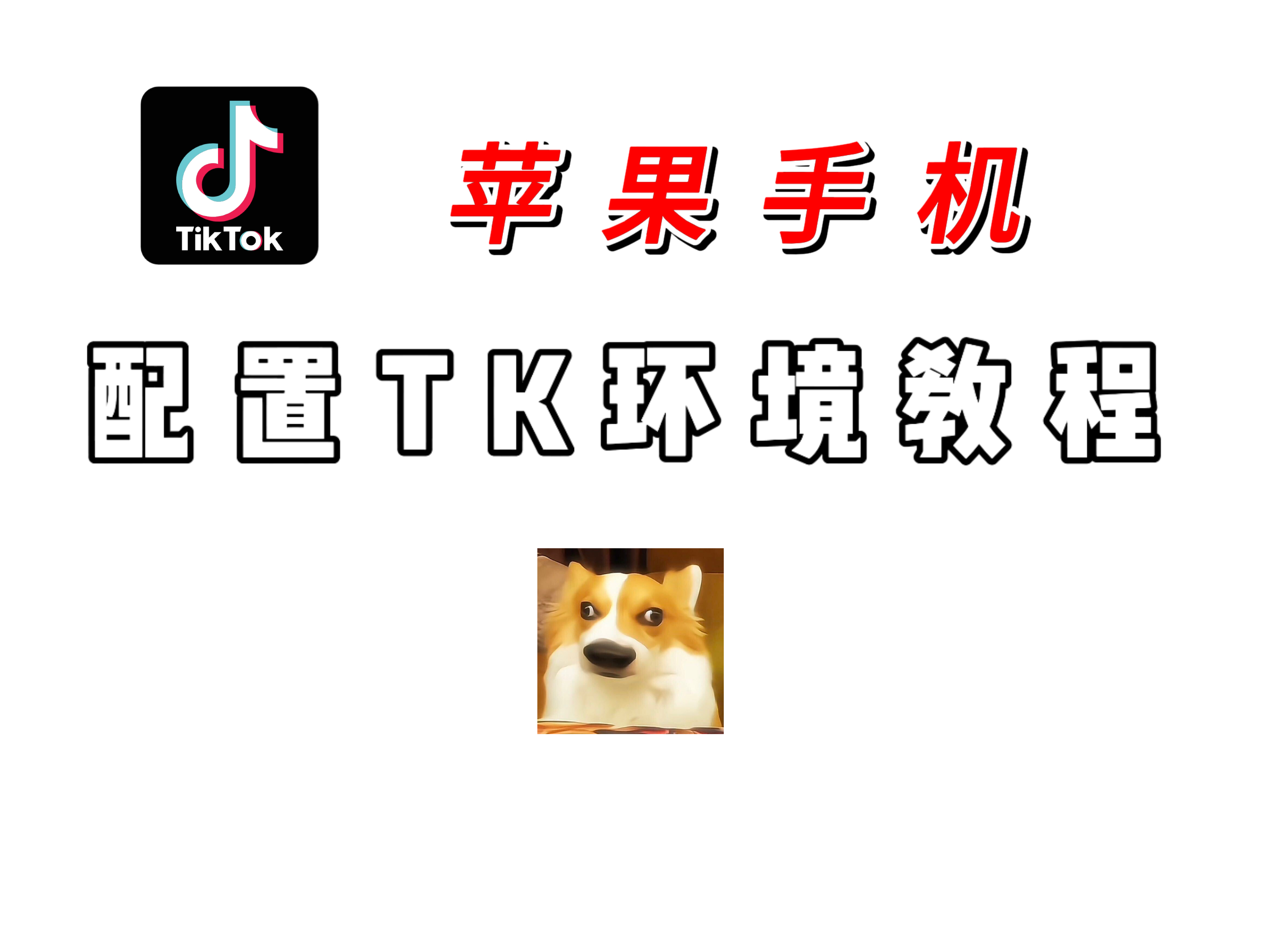 小白科技 - 苹果手机配置TikTok环境保姆级教程