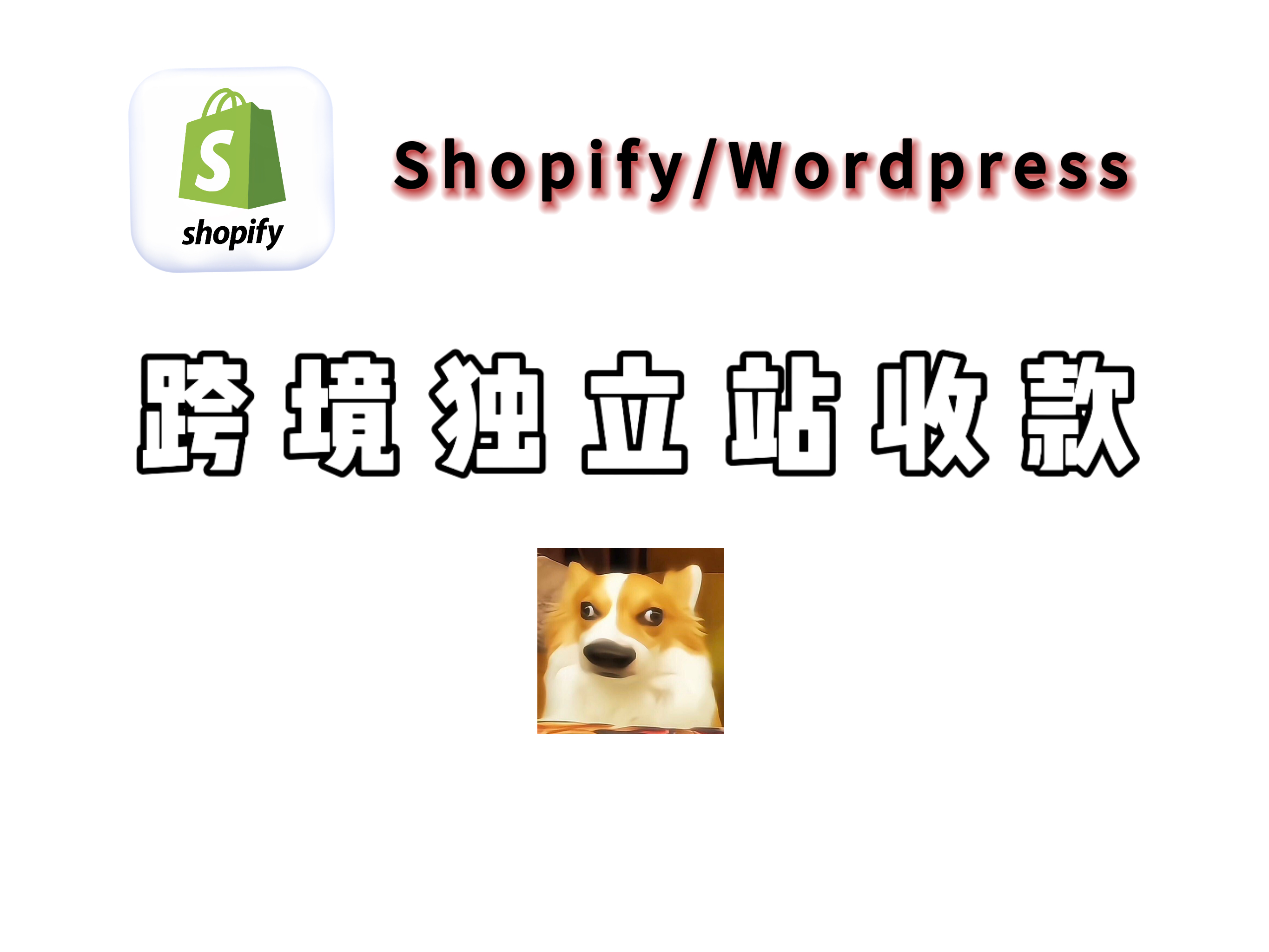 小白科技 - 独立站收款方式有哪些？